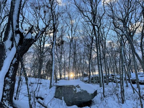 A snowy forest scene with bare trees and a glowing sunset peeking through the branches.