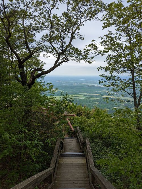 A wooden staircase descends through lush greenery, leading to a scenic view of distant hills and valleys.
