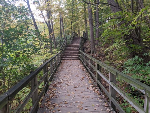 A wooden pathway with railings leads through a forest, surrounded by trees and fallen leaves. Stairs ascend in the distance.