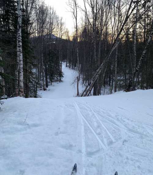 A snowy trail winding through a forest, with trees lining the path and a sunset in the background.