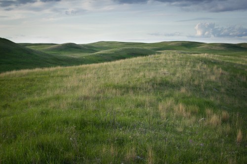Rolling green hills under a cloudy sky, with tall grass and gentle slopes creating a serene landscape.