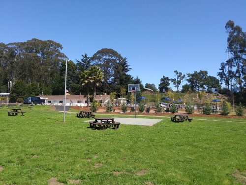 A sunny park with green grass, picnic tables, a basketball hoop, and trees in the background.