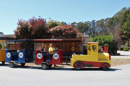 A colorful miniature train with passengers, surrounded by trees and flowers on a sunny day.