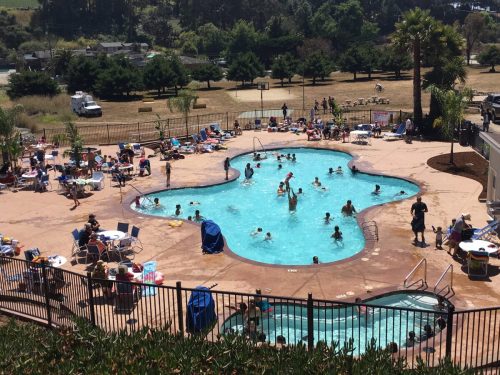A busy outdoor pool area filled with people swimming, lounging, and enjoying the sun on a warm day.