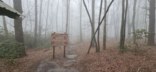 A foggy forest path leads to a sign for Gahuti Mountain Trail, surrounded by bare trees and fallen leaves.