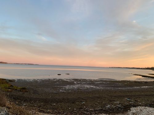 A serene view of a calm lake at sunset, with soft pastel colors in the sky and a muddy shoreline.