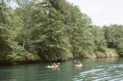 Two kayakers paddle on a calm river surrounded by lush green trees.