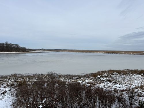 A serene winter landscape featuring a frozen lake surrounded by snow-covered grass and distant trees under a gray sky.