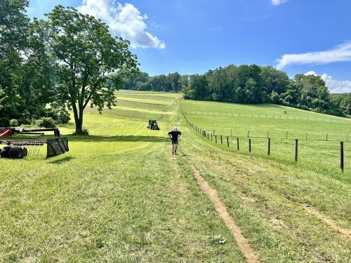 A person walks down a grassy path in a rural landscape with trees and a tractor in the background under a blue sky.