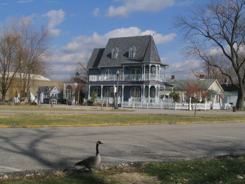 A large Victorian-style house with a wraparound porch, surrounded by trees, with a goose in the foreground.