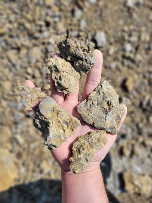 A hand holding five pieces of rough, textured rocks against a blurred rocky background.