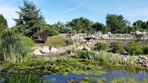 A serene landscape featuring a pond with lily pads, surrounded by lush greenery and a wooden bridge in the background.