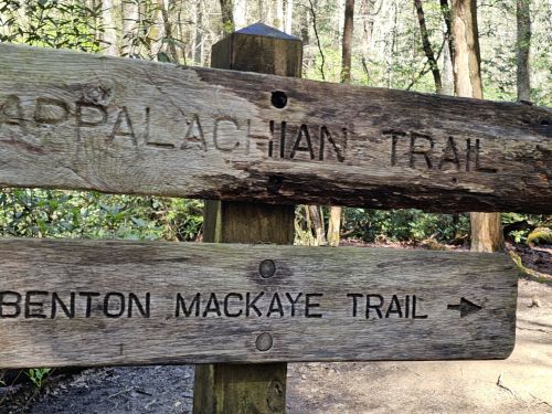 Wooden trail signs indicating the Appalachian Trail and Benton MacKaye Trail in a forested area.