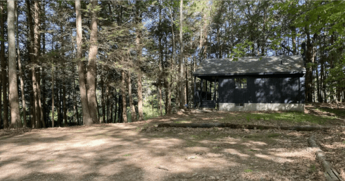 A small black cabin nestled among tall trees in a wooded area, with sunlight filtering through the leaves.