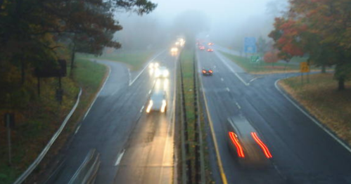Foggy road scene with cars driving on a wet highway, surrounded by trees with autumn foliage.