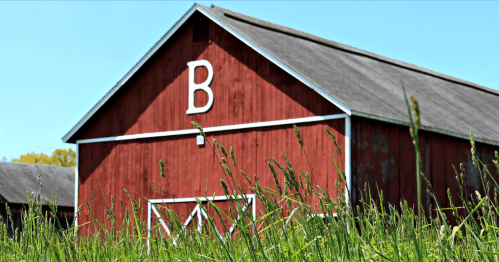 Red barn with a white letter "B" on the side, surrounded by tall green grass under a clear blue sky.
