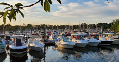A marina filled with various boats at sunset, surrounded by trees and calm water.