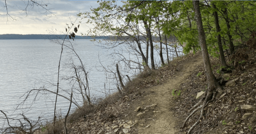 A winding dirt path along a lakeshore, surrounded by trees and sparse vegetation under a cloudy sky.