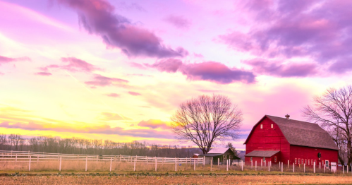 A red barn stands in a field under a colorful sunset with clouds and a bare tree in the background.
