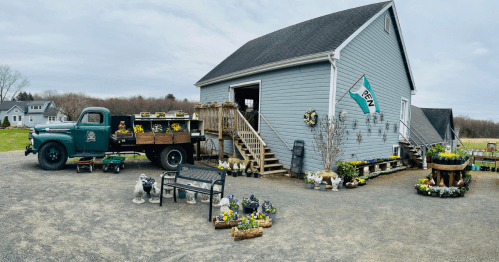 A vintage truck parked outside a blue building, surrounded by flower displays and a bench on a gravel path.