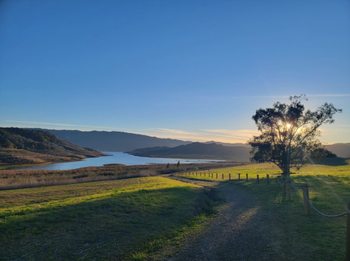A serene landscape featuring a lake, mountains, and a tree silhouetted against a sunset sky.