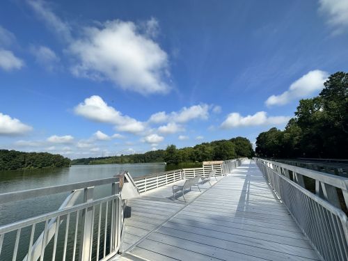A wooden boardwalk extends over a calm lake, surrounded by trees under a blue sky with fluffy clouds.