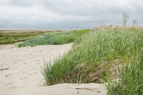 A sandy beach with lush green grass and cloudy skies in the background, creating a serene coastal landscape.