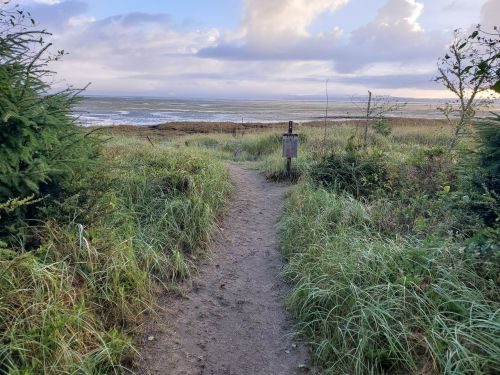A sandy path through tall grass leads to a scenic view of the ocean under a cloudy sky.