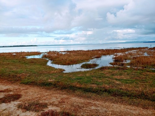 A serene landscape featuring a grassy area with shallow water pools, under a cloudy sky by a calm body of water.