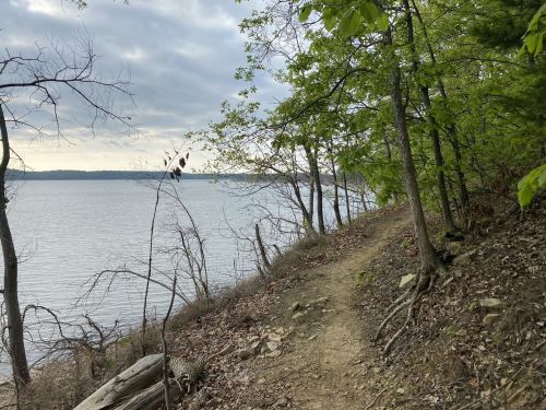 A winding dirt path along a lake, surrounded by trees and greenery under a cloudy sky.