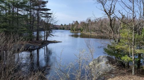 A serene lake surrounded by trees, reflecting the sky and landscape on a calm day.