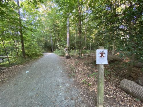 A wooded path with a sign about wildlife, surrounded by trees and fallen logs.