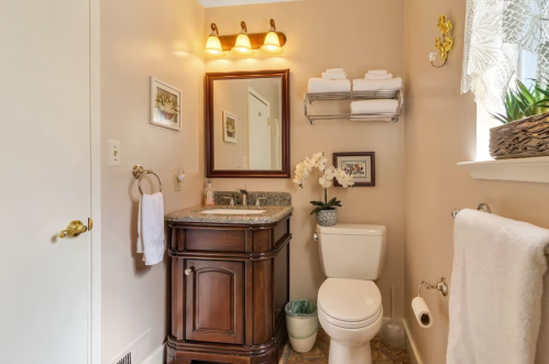 A cozy bathroom featuring a wooden vanity, mirror, toilet, and decorative plants, with soft lighting and towels.