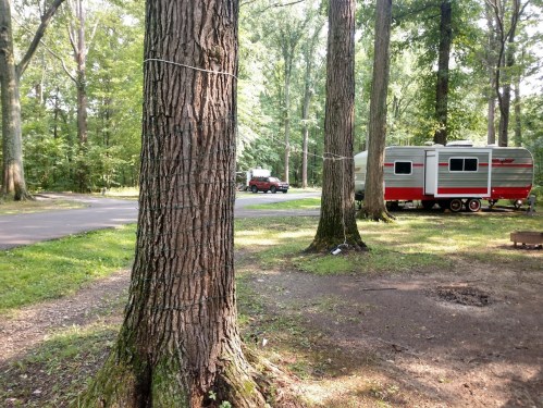 A vintage camper parked near a wooded area, surrounded by tall trees and a grassy campsite.