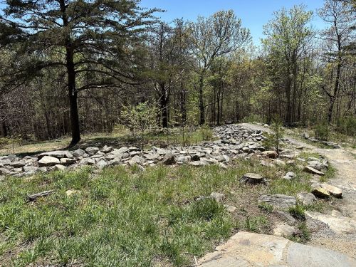 A rocky path winds through a green forest with trees and shrubs under a clear blue sky.