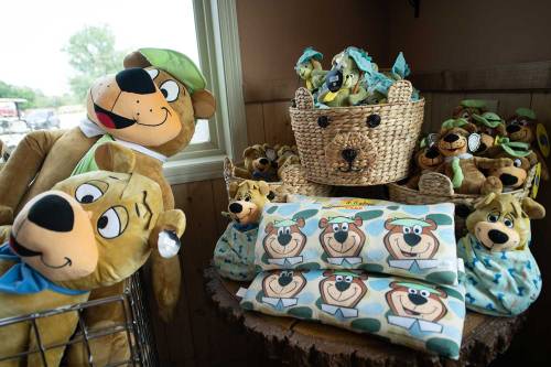 A display of plush bear toys and blankets featuring cartoon bears in a cozy shop setting.