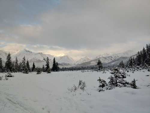 Snow-covered landscape with mountains in the background and a cloudy sky, surrounded by evergreen trees.