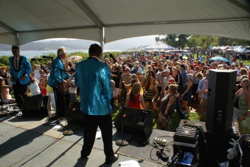 A lively outdoor concert scene with a band performing on stage and a large crowd enjoying the music.