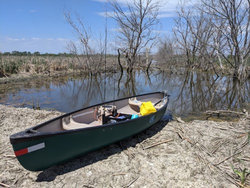 A green canoe rests on the shore of a calm, reflective waterway surrounded by bare trees and marshland.