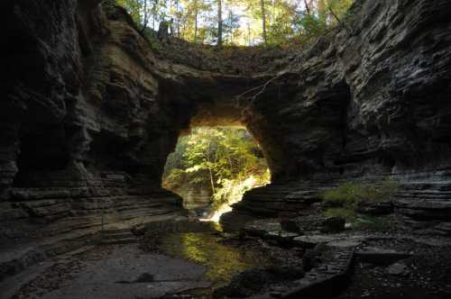 A serene cave opening surrounded by lush greenery and rock formations, with sunlight streaming through.