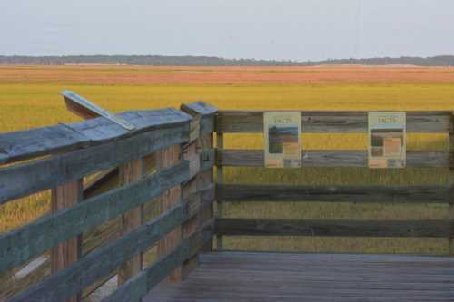 A wooden railing overlooks a vast marshland with informational signs, showcasing golden grasses and a distant horizon.