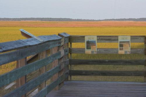 A wooden railing overlooks a vast marshland with informational signs, showcasing golden grasses and a distant horizon.
