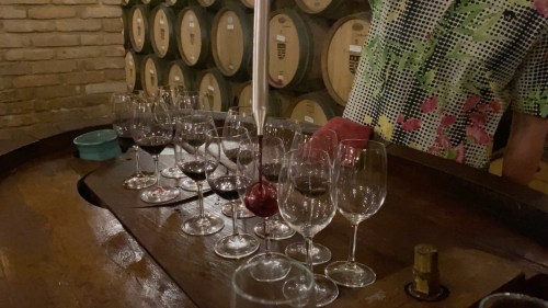 A wooden table with various wine glasses filled with red wine, set against a backdrop of wine barrels.