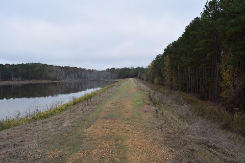 A gravel path runs alongside a calm lake, bordered by trees and grassy areas under a cloudy sky.