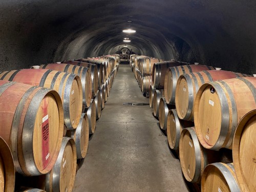 A dimly lit wine cellar lined with wooden barrels on both sides, creating a long, narrow pathway.