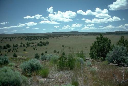 A vast landscape with rolling hills, scattered trees, and a bright blue sky filled with fluffy clouds.