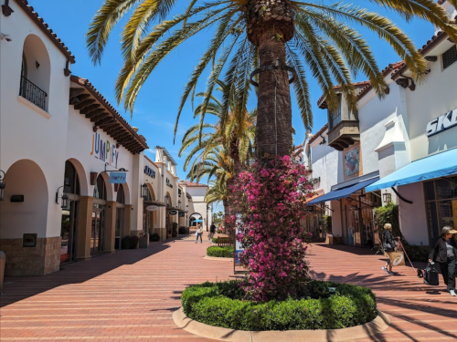 A sunny outdoor shopping area lined with palm trees and blooming flowers, featuring shops and a clear blue sky.