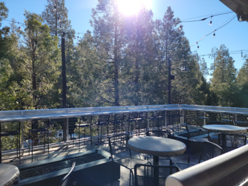 A sunlit outdoor patio with tables and chairs, surrounded by tall trees and string lights.