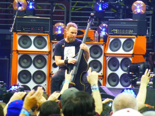A musician plays a double bass on stage, with colorful amplifiers and an enthusiastic crowd in the background.