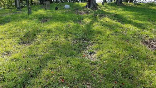 A grassy area with scattered stones and shadows from trees, creating a serene, natural landscape.